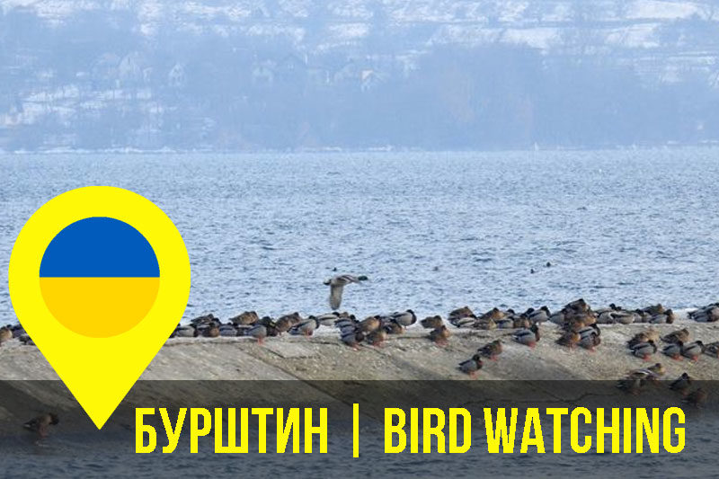 Бурштинське водосховище (АУДІО)