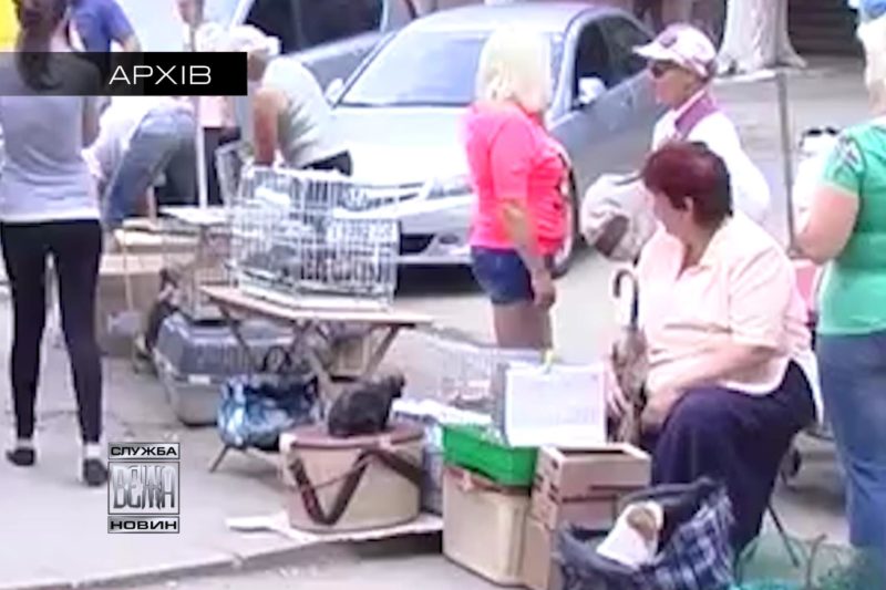Торгівці тваринами в Івано-Франківську вдаються до нечесних оборудок (ВІДЕО)