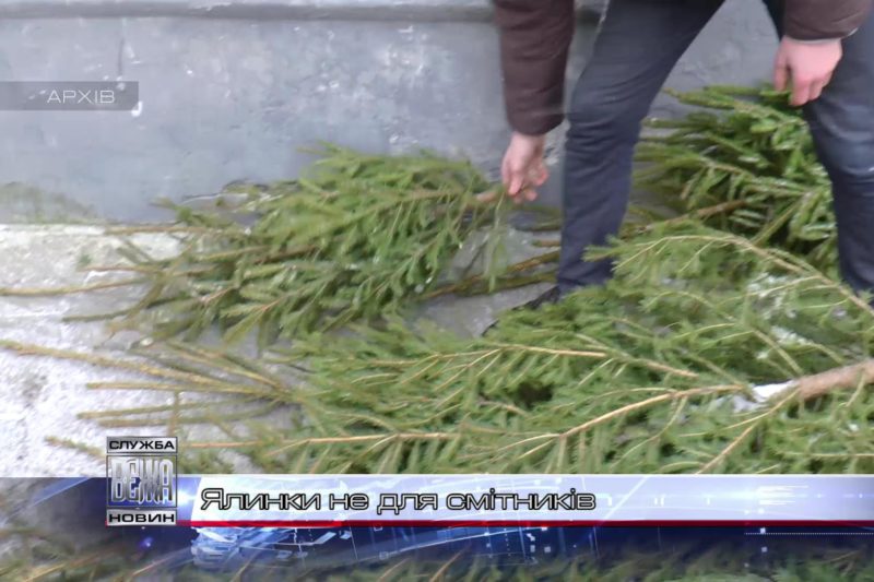 В Івано-Франківську діє пункт прийому новорічних ялинок (ВІДЕО)