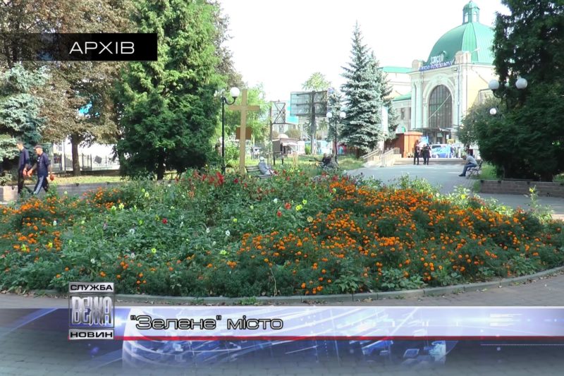 Сезонну обрізку дерев розпочали в Івано-Франківську (ВІДЕО)