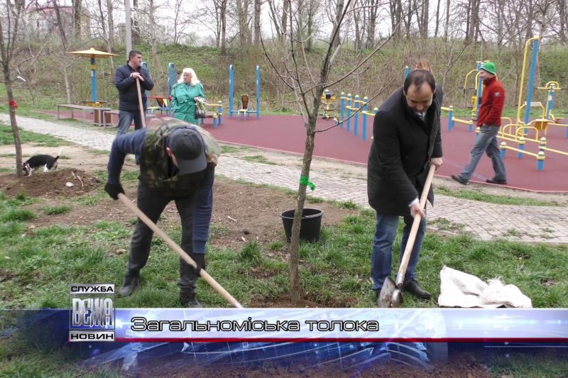 В Івано-Франківську провели загальноміську толоку (ВІДЕО)