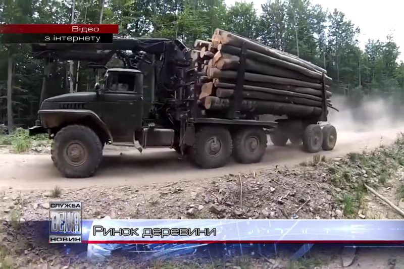 Електронний обіг деревини запровадили на Прикарпатті (ВІДЕО)
