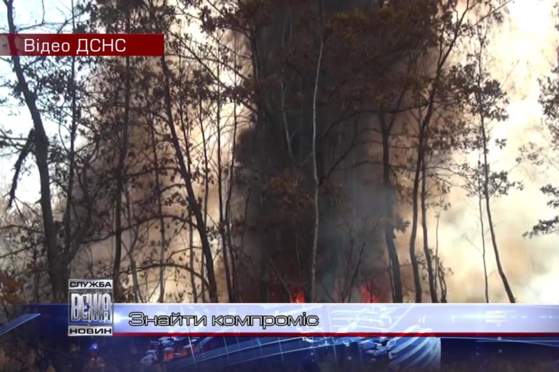 Івано-франківські чиновники радять, що робити з опалим листям (ВІДЕО)