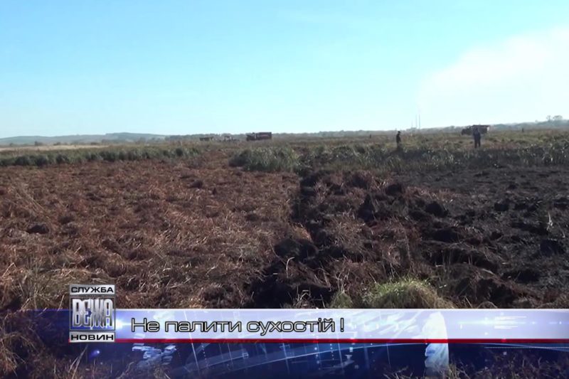 Рятувальники застерігають від несанкціонованого спалювання осіннього сухостою (ВІДЕО)