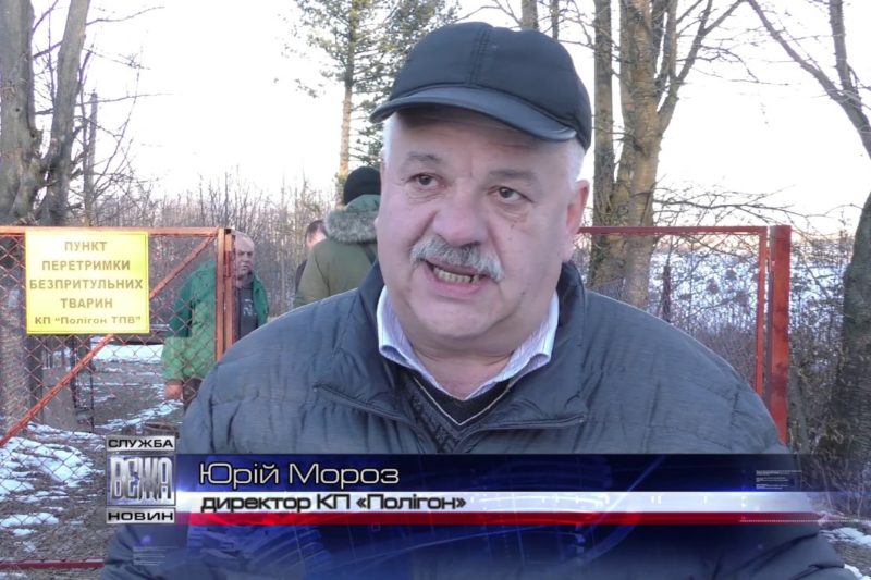 В Івано-Франківську відкрили перший комунальний пункт перетримки безпритульних тварин (ВІДЕО)