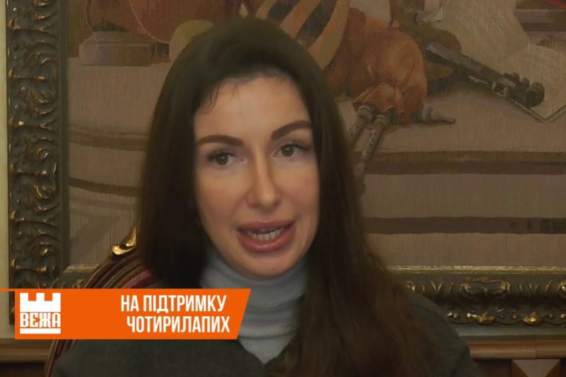 "Дім Сірка" організовує 4-й "Вечір Добра" на підтримку безпритульних тварин (ВІДЕО)